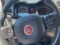 Usata Fiat Panda 4x4 S 2020 Bianco Utilitaria