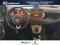Usata Fiat Panda Cross Cross 85 CV (62 kW) 2019 Verde Utilitaria