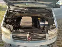 Usata Fiat Panda Dynamic 60 CV (44 kW) 2009 Bluazzurro Utilitaria