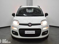 Usata Fiat Panda Easy 69 CV (50 kW) 2017 Bianco Utilitaria