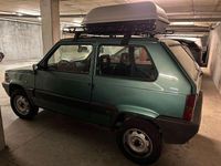 Usata Fiat Panda 4x4 Trekking 54 CV (39 kW) 2002 Verde Utilitaria