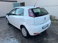 Usata Fiat Punto Lounge 95 CV (69 kW) 2013 Bianco Utilitaria