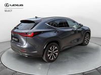 Usata Lexus NX300h 243 CV (178 kW) 2022 Grigio SUV