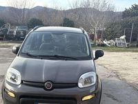 Usata Fiat Panda 4x4 S 86 CV (63 kW) 2022 Grigio Utilitaria