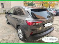 Usata Ford Kuga Titanium 120 CV (88 kW) 2021 Grigio SUV