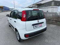 Usata Fiat Panda Lounge 75 CV (55 kW) 2013 Bianco Utilitaria