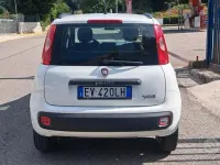 Usata Fiat Panda Lounge 80 CV (58 kW) 2014 Bianco Utilitaria