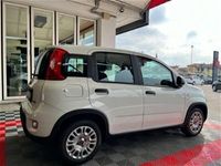 usata Fiat Panda Cross 1.0 FireFly S&S Hybrid City nuovo