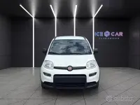 Usata Fiat Panda City Life 70 CV (51 kW) 2022 Bianco Utilitaria