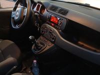 Usata Fiat Panda 4x4 85 CV (62 kW) 2019 Verde Utilitaria