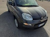 Usata Fiat Panda 69 CV (50 kW) 2019 Grigio Utilitaria