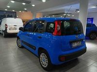 usata Fiat Panda 1.2 Pandazzurri usato