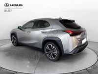 Usata Lexus UX 250h Luxury Line 184 CV (135 kW) 2019 Sonic titanium SUV