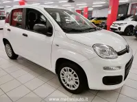 Nuevo Fiat Panda 69 CV (50 kW) 2025 Blanco Utilitario
