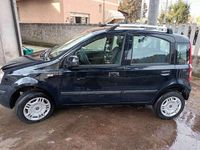 Usata Fiat Panda 77 CV (56 kW) 2012 Blu/azzurro Utilitaria