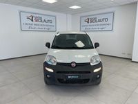 Usata Fiat Panda 4x4 Pop 80 CV (58 kW) 2016 Bianco Utilitaria