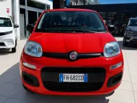 Usata Fiat Panda Lounge 69 CV (50 kW) 2017 Rosso Utilitaria