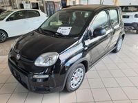 usata Fiat Panda 1.0 FireFly S&S Hybrid 70cv