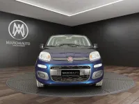 Usata Fiat Panda Easy 69 CV (50 kW) 2017 Grigio cemento pastello Utilitaria
