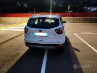 Usata Ford Kuga Business Edition 150 CV (110 kW) 2019 Bianco SUV