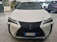 Usata Lexus UX 152 CV (111 kW) 2024 Bianco SUV