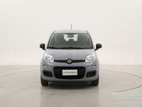 Usata Fiat Panda Easy 69 CV (50 kW) 2020 Grigio Utilitaria
