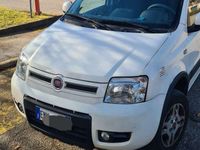 usata Fiat Panda 4x4 1.3 mjt 16v Climbing 75cv my12