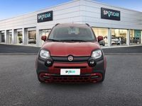 Usata Fiat Panda Cross Cross 69 CV (50 kW) 2024 Rosso Utilitaria