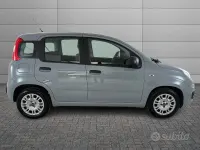 Usata Fiat Panda S 70 CV (51 kW) 2021 Grigio Utilitaria