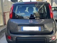 Usata Fiat Panda City Life 69 CV (50 kW) 2023 Utilitaria