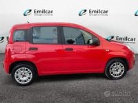 Usata Fiat Panda 95 CV (69 kW) 2019 Rosso Utilitaria