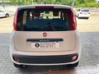 Usata Fiat Panda 4x4 Pop 86 CV (63 kW) 2020 Bianco Utilitaria