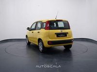 Nuova Fiat Panda S 69 CV (50 kW) 2025 Giallo Utilitaria