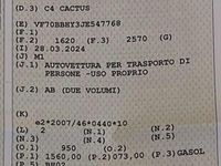 Usata Citroën C4 Cactus Shine 99 CV (72 kW) 2019 Utilitaria