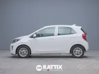Usata Kia Picanto Urban 67 CV (49 kW) 2024 Bianco Utilitaria