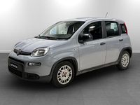 Usata Fiat Panda S 70 CV (51 kW) 2023 Grigio Utilitaria