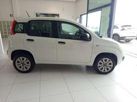 Usata Fiat Panda Lounge 71 CV (52 kW) 2020 Bianco perla Utilitaria
