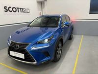 usata Lexus NX300h Hybrid 4WD Executive