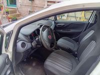 Usata Fiat Punto Evo Active 69 CV (50 kW) 2009 Bianco Utilitaria