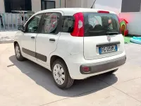 Usata Fiat Panda 95 CV (69 kW) 2016 Utilitaria