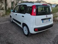 Usata Fiat Panda Easy 75 CV (55 kW) 2014 Bianco Utilitaria