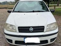 Usata Fiat Punto Active 86 CV (63 kW) 2005 Bianco Berlina