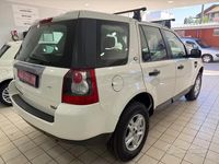 Usata Land Rover Freelander 2 HSE 160 CV (117 kW) 2009 Bianco SUV