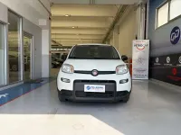 Usata Fiat Panda S 69 CV (50 kW) 2023 Bianco Utilitaria