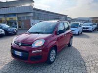 Usata Fiat Panda Lounge 74 CV (54 kW) 2013 Rosso Utilitaria