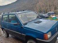 Usata Fiat Panda 4x4 1993 Blu Utilitaria