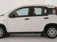 Usata Fiat Panda 69 CV (50 kW) 2021 Bianco gelato pastello extra Utilitaria