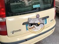 Usata Fiat Panda Dynamic 60 CV (44 kW) 2010 Utilitaria