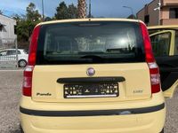Usata Fiat Panda 60 CV (44 kW) 2009 Utilitaria