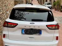 Usata Ford Kuga ST-Line 150 CV (110 kW) 2023 Bianco SUV